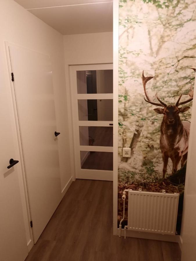 Heerlijke Vakantiewoning Ewijk Villa Esterno foto